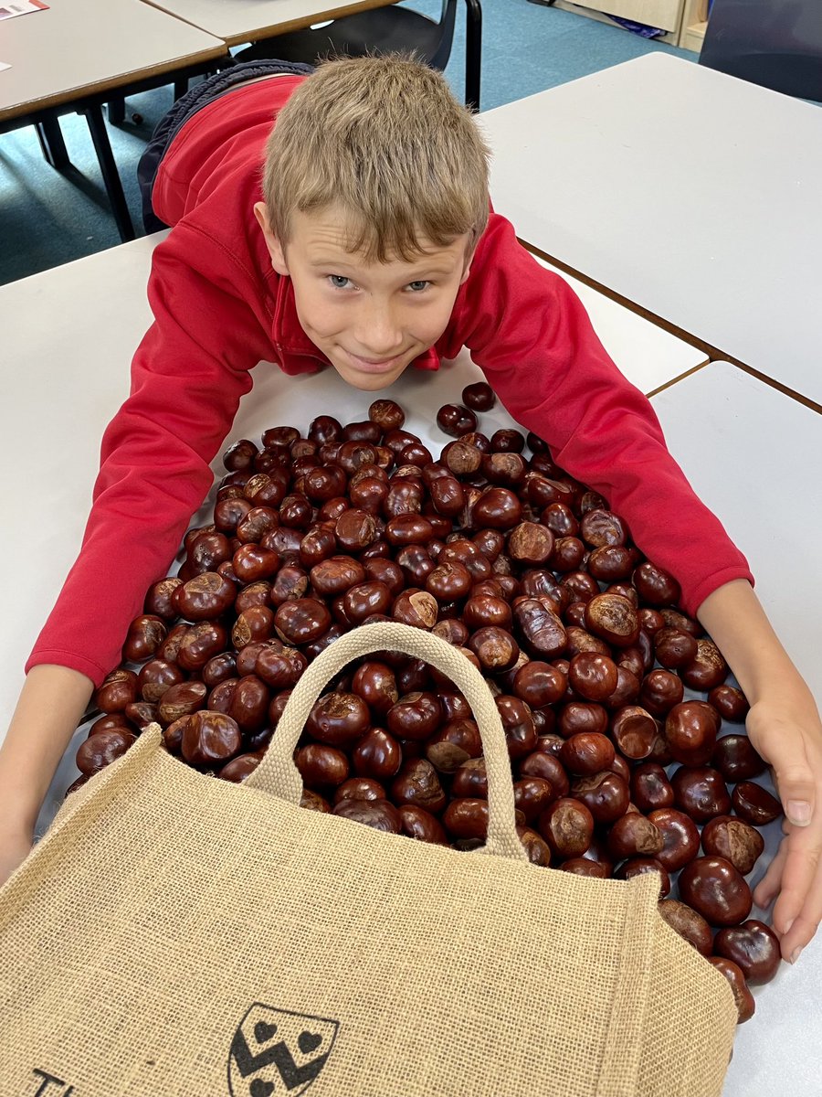 OPS_OratoryPrep's tweet photo. Our Newman Programme was in full swing during today’s beautifully crisp Saturday morning.
Here’s one of our OPS pupils, Henry, going bonkers with his conkers, using them as inspiration for poetry in Extra English.
#NewmanProgramme #extracurricular #UnlockExperiences https://t.co/lTjtIwZ3V3