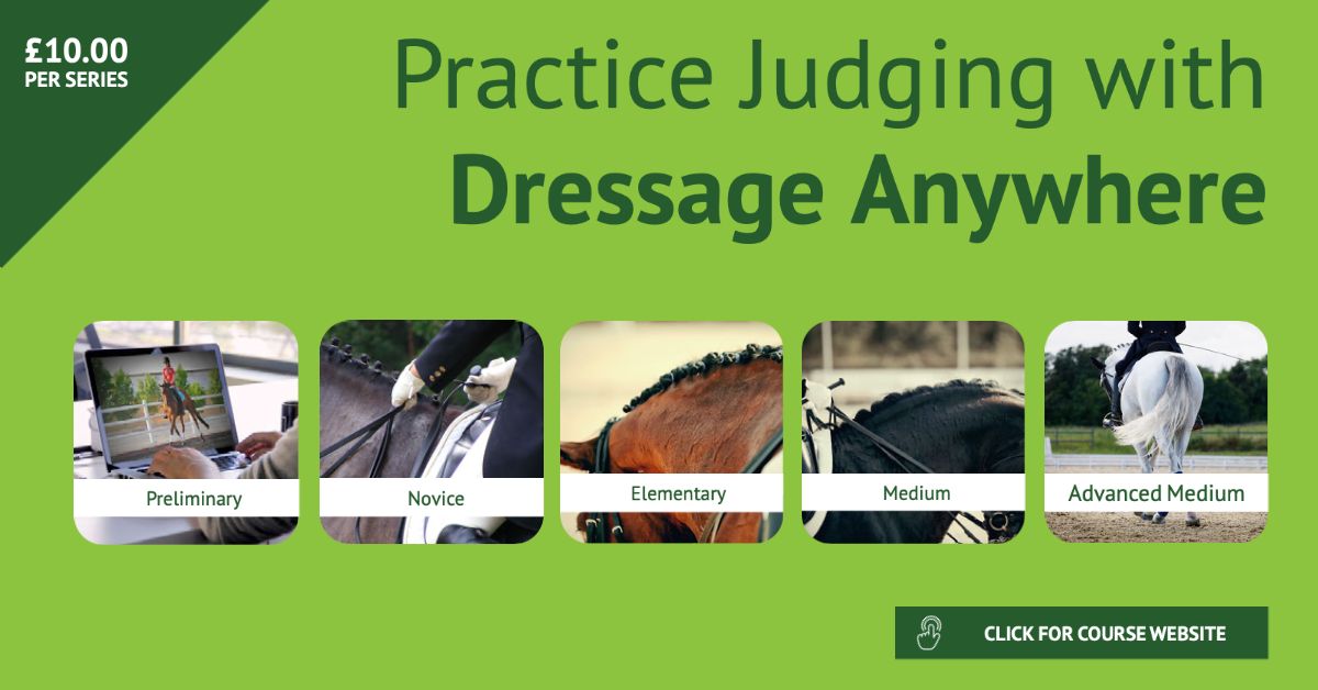 Dressage Anywhere tweet media