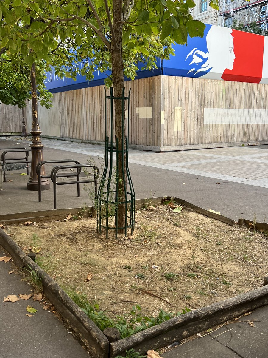 @cbrossel @Anne_Hidalgo @Paris2024 Au cœur du Paris touristique, pas un endroit propret, pas l’ombre d’un pétale de fleurs. Le trottoir longeant la préfecture de police est jonché de détritus. C’est ici qu’attendent patiemment tous les visiteurs de la Sainte Chapelle. Quelle image! @JBLemoyne