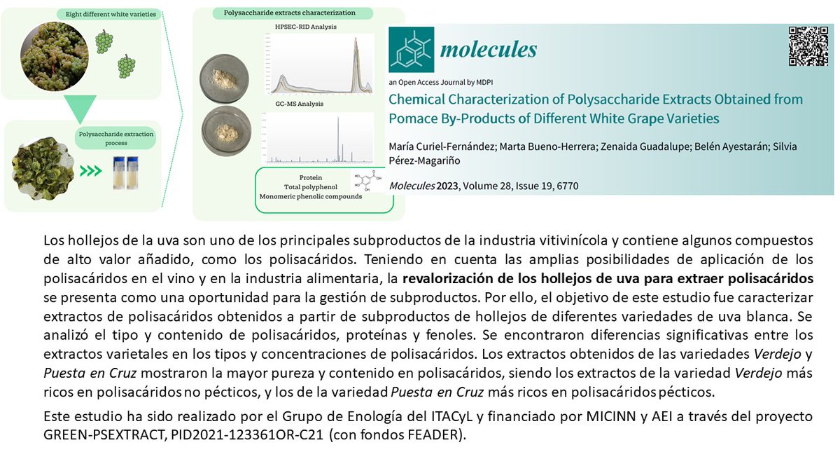 Artículo del #GrupoDeEnología #ITACyL en @Molecules_MDPI sobre la caracterización de extractos de #polisacáridos a partir de subproductos de hollejos de distintas variedades de uva blanca
#GreenPSExtract #FEADER
Artículo completo 👉ow.ly/K28t50PTLSy