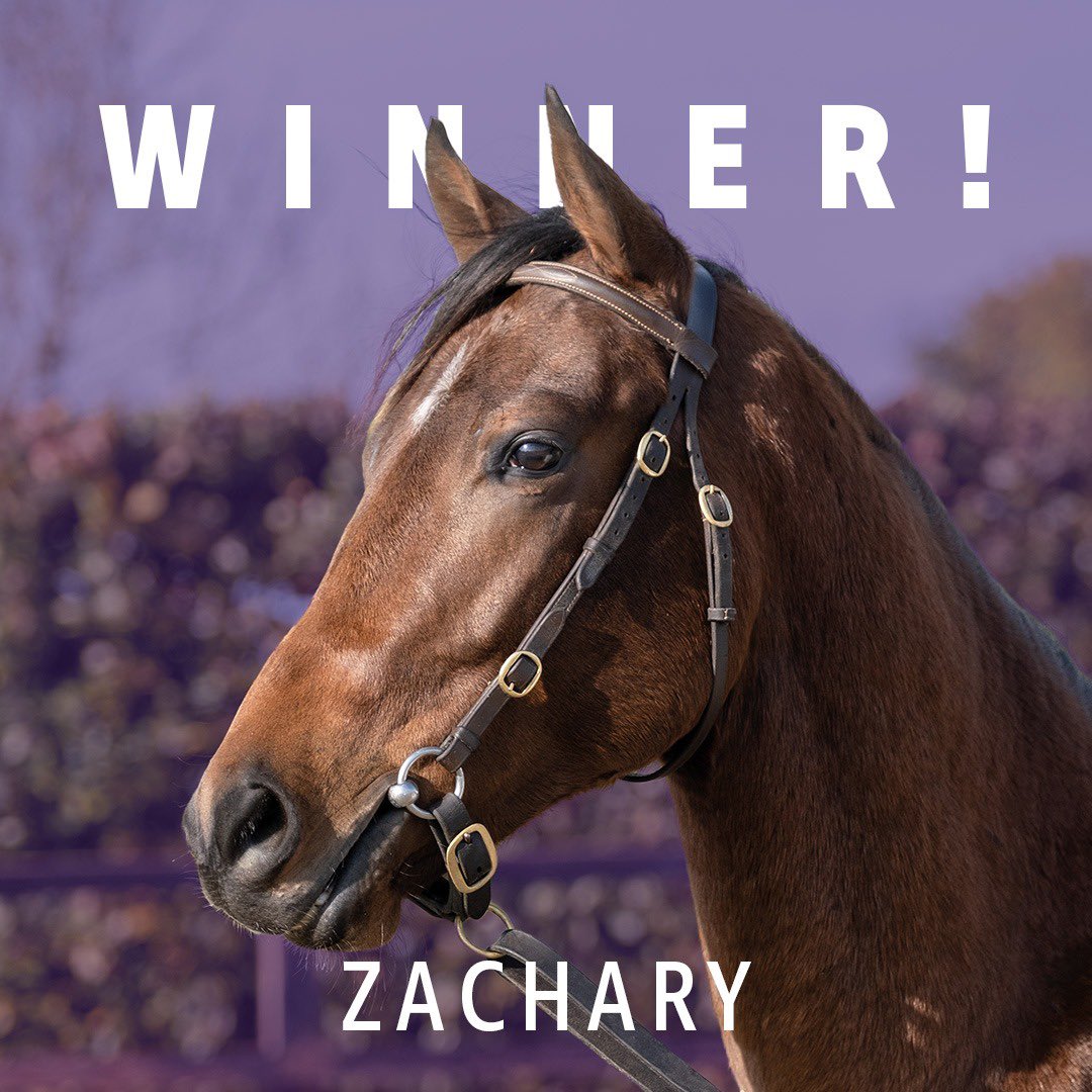 ownersgroupuk's tweet image. Zachary gets off the mark @ChelmsfordCRC for @Johnston_Racing Jockey Marco Ghiani and his ownersgroup.co.uk owners. Well done to all! 🏆 👏🏻 #zachary #ownersgroup