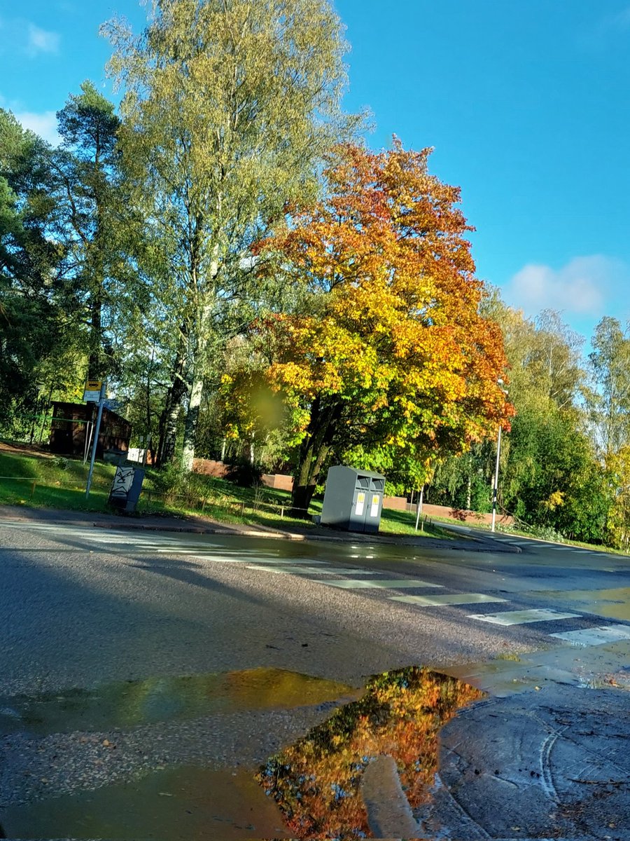 Piam68377597's tweet photo. Urbaani heijastus
#Reflection #Ruska23 https://t.co/59Sk7IcdZf