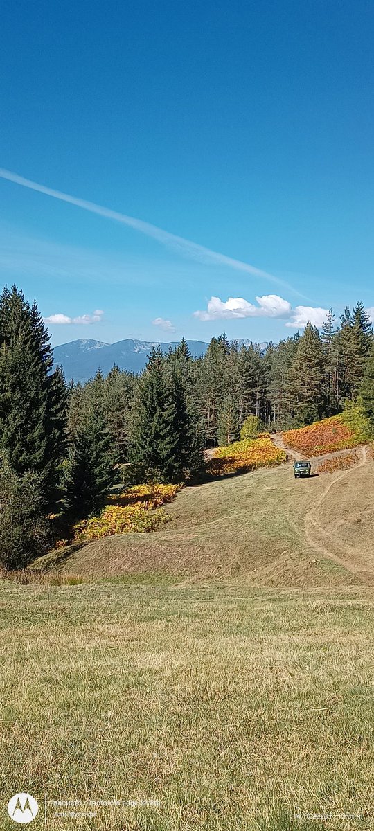 Али Aли (@a54118370) on Twitter photo 