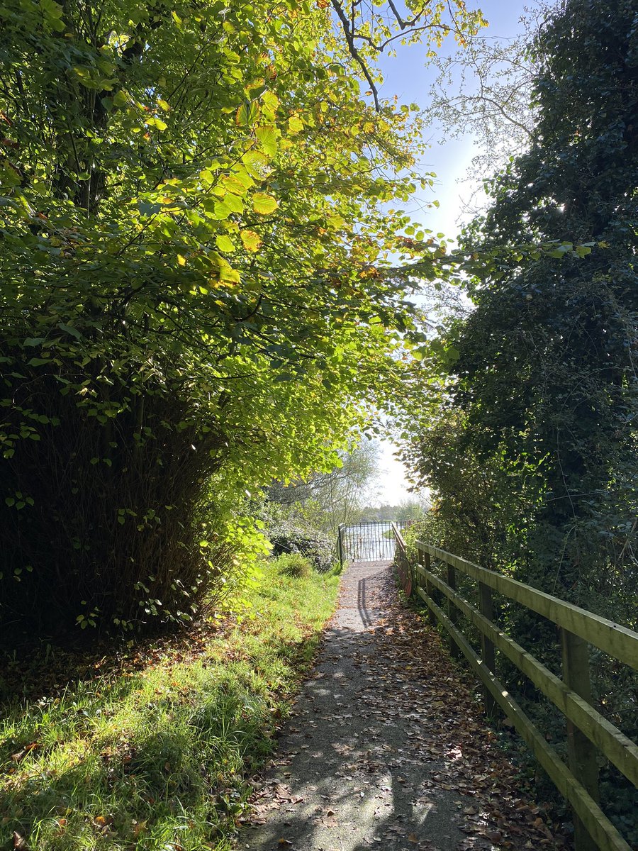 rosaleen_bolger's tweet image. Autumn in full swing 🍂🍁#Autumn #RedPath #MillRoad #Corbally #Limerick