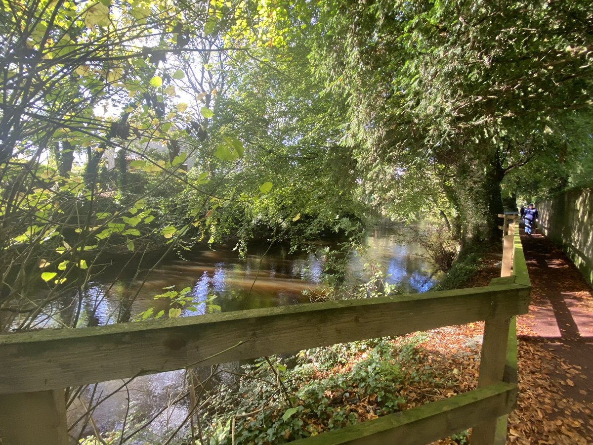 rosaleen_bolger's tweet image. Autumn in full swing 🍂🍁#Autumn #RedPath #MillRoad #Corbally #Limerick