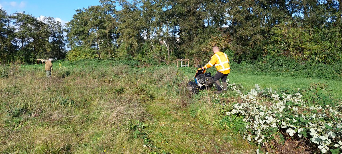 223 eieren gevonden vandaag tijdens de natuurwerkdag #volgermeer vlak bij Broek in <a href="/gem_waterland/">Gemeente Waterland</a> in 1 broedhoop. En de bloemencirkel gefaseerd gemaaid en afgevoerd. Lekker bezig voor de #biodiversiteit