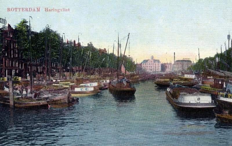 Rotterdam Van Alles 🇳🇱 💚🤍💚 tweet media