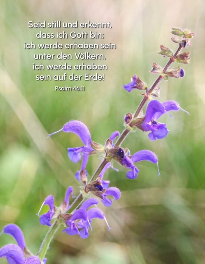 Jesusliebtdich's tweet photo. Daraus kann ich #Kraft und #Motivation für jeden neuen Tag schöpfen. Kann #Ruhe und #Sicherheit finden.
Erkennet, daß ich #Gott bin! Das ist der lebendige Gott, der Gott #Israel†s, der Gott, der sich als Mensch in #Jesus Christus uns Menschen geoffenbart hat.
#StandWithJesus https://t.co/ElCqgx2lmj