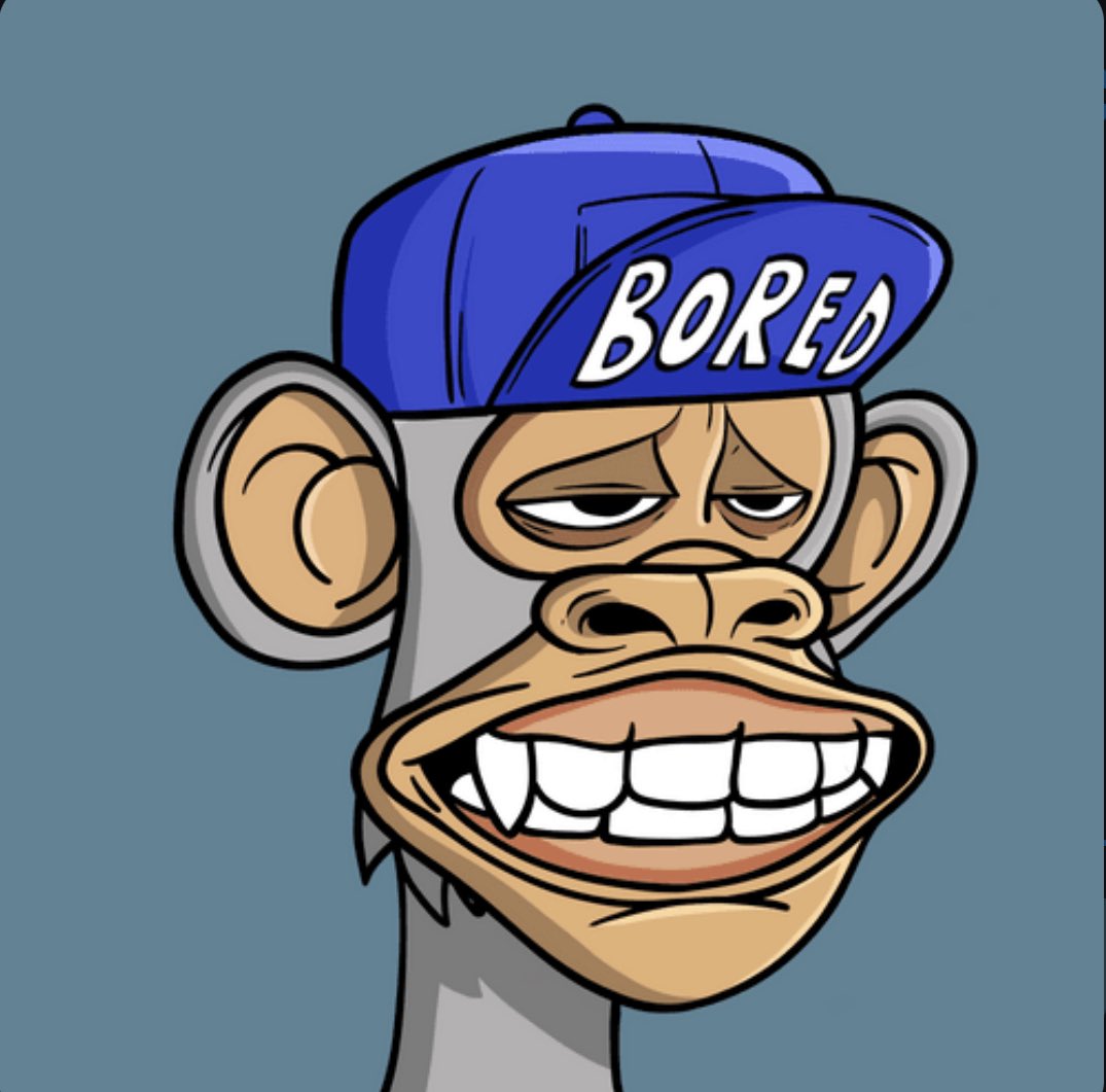 MULLETMANONSOL's tweet photo. Flip brims with grins! @BoringApes_io #NotsoBoring https://t.co/6ihHJENnu1