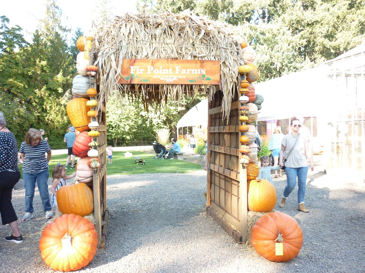 Fir Point Farm in Aurora
sporktogo.blogspot.com/2023/10/fir-po… #PumpkinPatch #CornMaze #HayRide #FirPointFarms