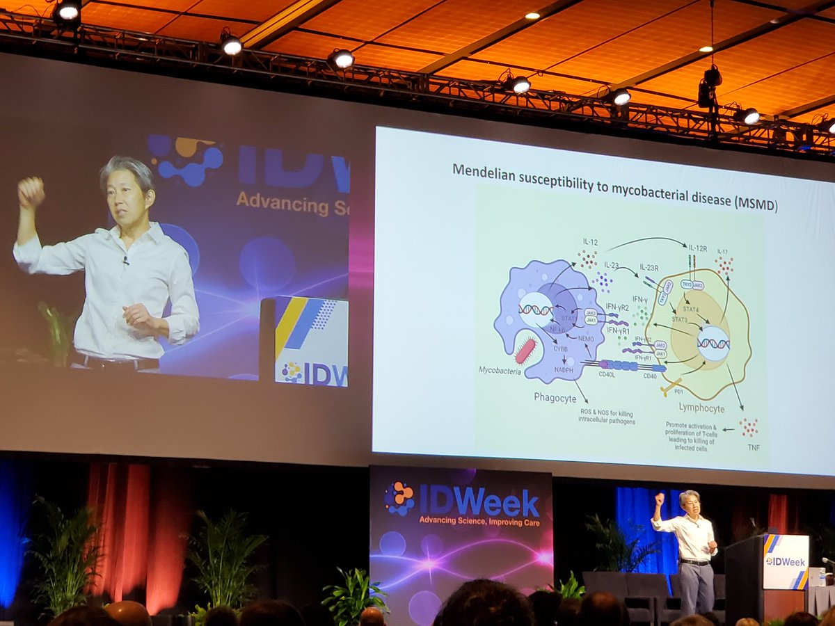 paulksue1's tweet photo. ❤️ Loving it as #SharonChen @LPCH_IDProgram walks us through -nibs &mab mechanisms & how to think thru the link 🔗 between #Mabs & specific pathway infections!! #Adalimumab #Ustekinumab #Spesolimab #Ozanimod #PedsTID #PiTCHID #IDWeek2023 https://t.co/moydC8lLTl