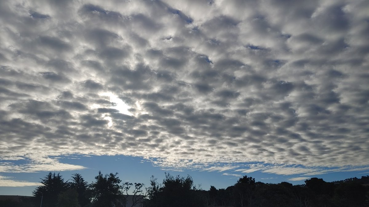 NWSBayArea's tweet image. HEY! DOWN IN FRONT!

#ObstructedView
#CAwx 
#Eclipse