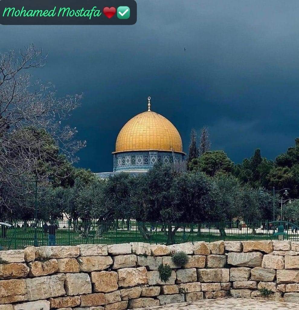 " جميلة أنتِ كـ يوسف، وخانك العالم كإخواته❤️‍🩹."