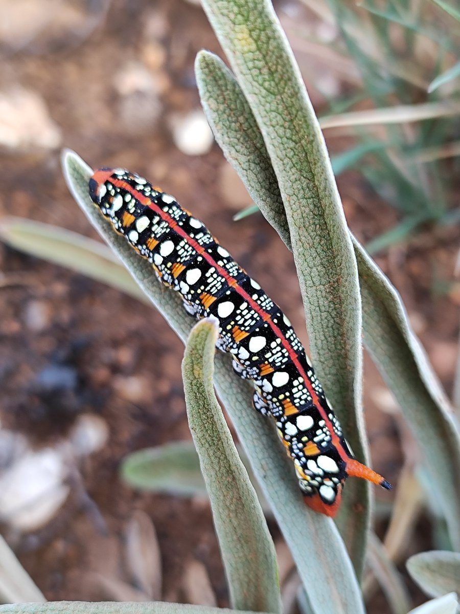 Víctor Casas EA2EPS tweet media