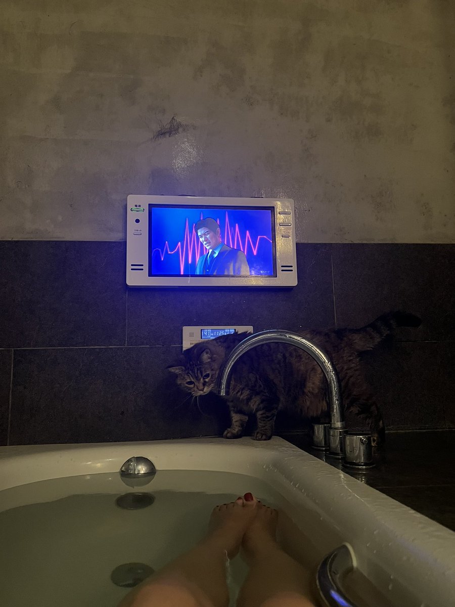 お風呂も付いて来てくれます🛀

#猫のいる幸せ 
#猫のいる暮らし 
#猫好きさんと繋がりたい