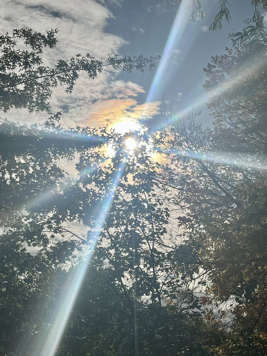 Tom Michael tweet media