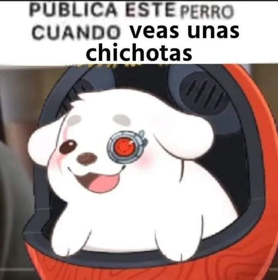 ForePlay_2002's tweet photo. ¿Qué son chichotas? https://t.co/4dtwatoKf3