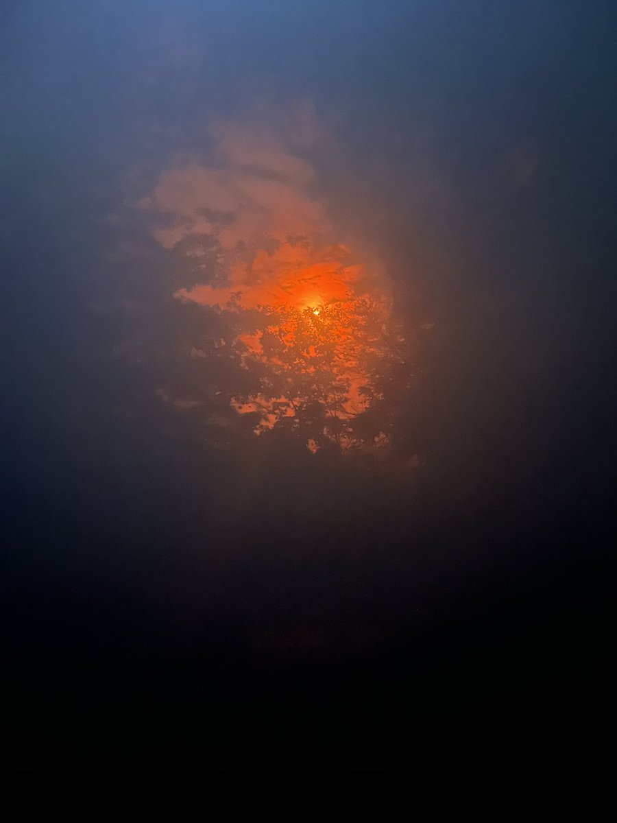 Tom Michael tweet media