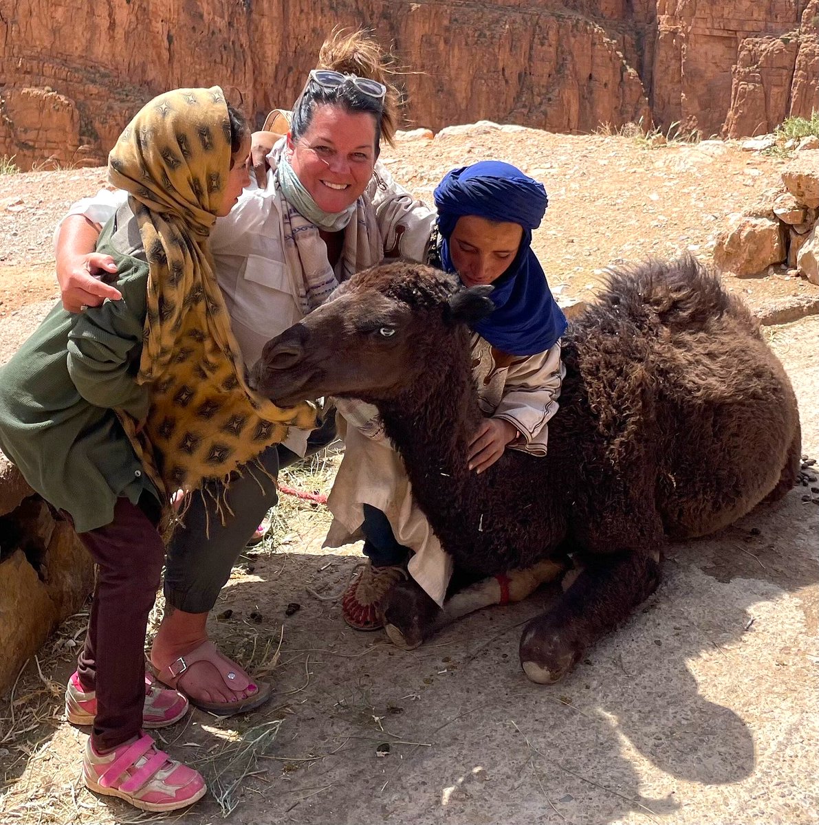 Gtway2Morocco's tweet image. Our trips are all about creating deep connections with locals, and this picture perfectly showcases that. 🤝🐪 These nomad kids and their camel companions welcomed our client with open arms, creating memories that will last a lifetime. 🌟 #TravelConnections #LocalExperiences