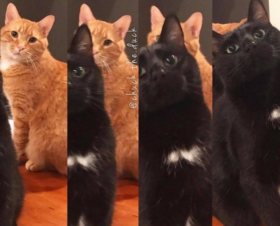 Fotos exclusivas do eclipse