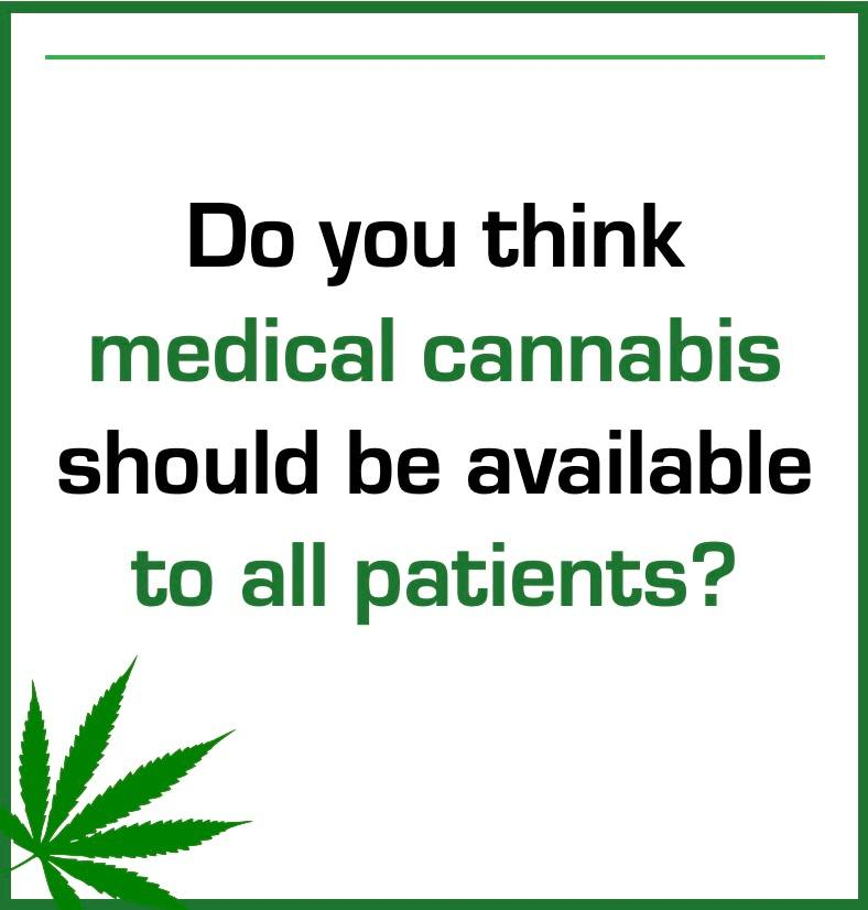 Cannabis Hub tweet media