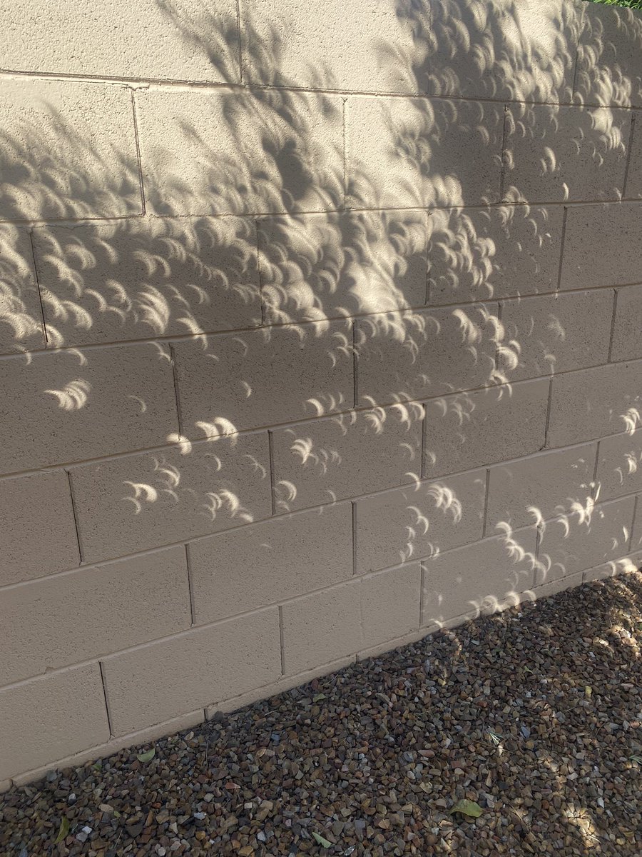 Crescent shaped shadows in Tuscon #Eclipse