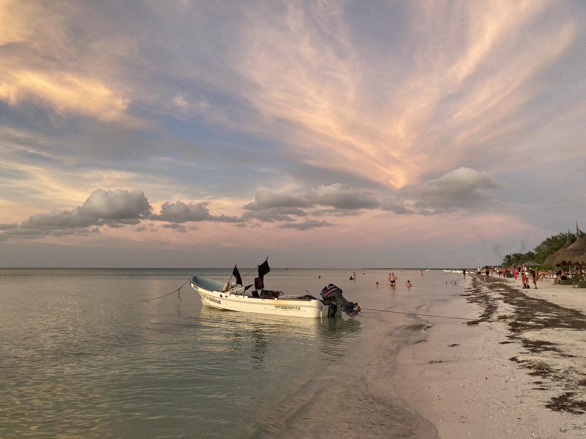 HouseofPanther's tweet photo. GM and Happy #Caturday! 😻
Back from a productive and relaxing work/birthday getaway on the beautiful island of #Holbox.
#btm #plasticsequestration #crypto #refi #hophophop https://t.co/OsiZR5VUAq