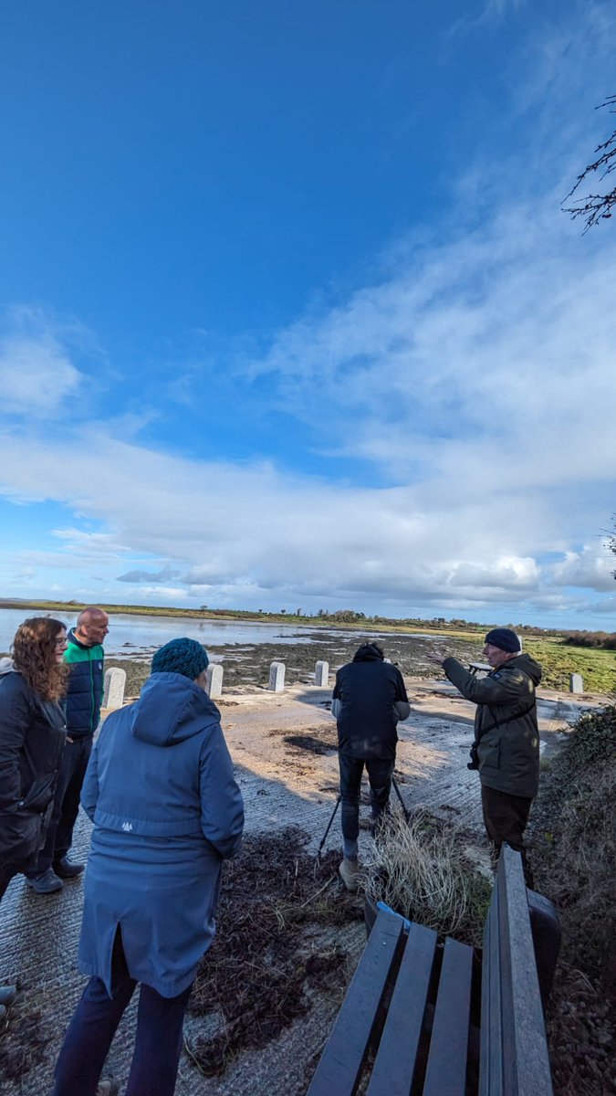 Great morning learning how to monitor waterbirds on the Shannon Estuary at Ringmoylan, Beagh Castle and Ballysteen Pier this morning. Workshop was led by Geoff Hunt.

We also launched our new sign at Beagh Castle. Thanks to Iverus Cafe for sponsoring and for the refreshments!