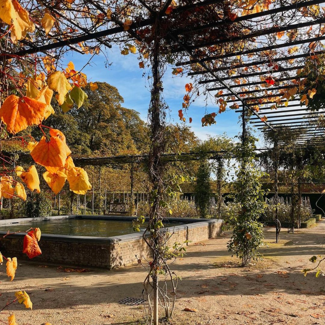 As the season changes, take a stroll around The Alnwick Garden 

Repost: @alnwickgarden

#Cussins #CussinsHome #Alnwick #AlnwickGarden #VisitAlnwick #Northumberland #VisitNorthumberland