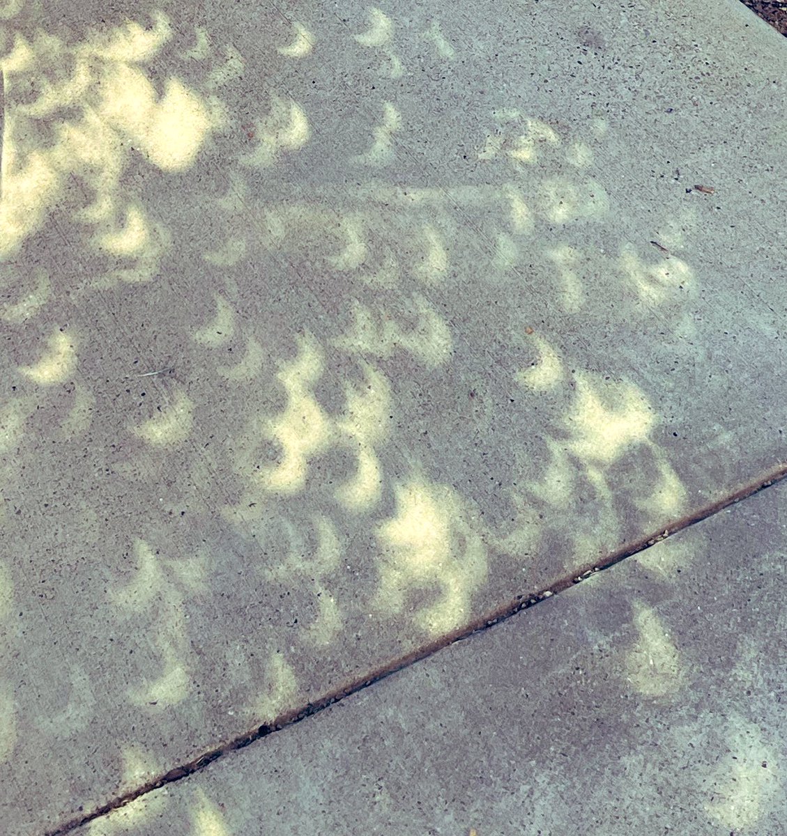 Brooke Schuster tweet media