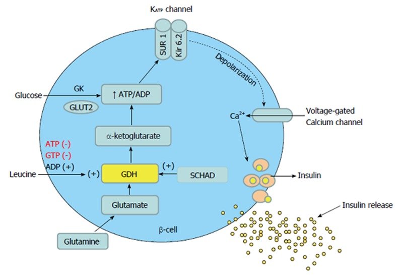 All you need to know about INSULIN RESISTANCE in one single thread Thread.....🧵 Thread from