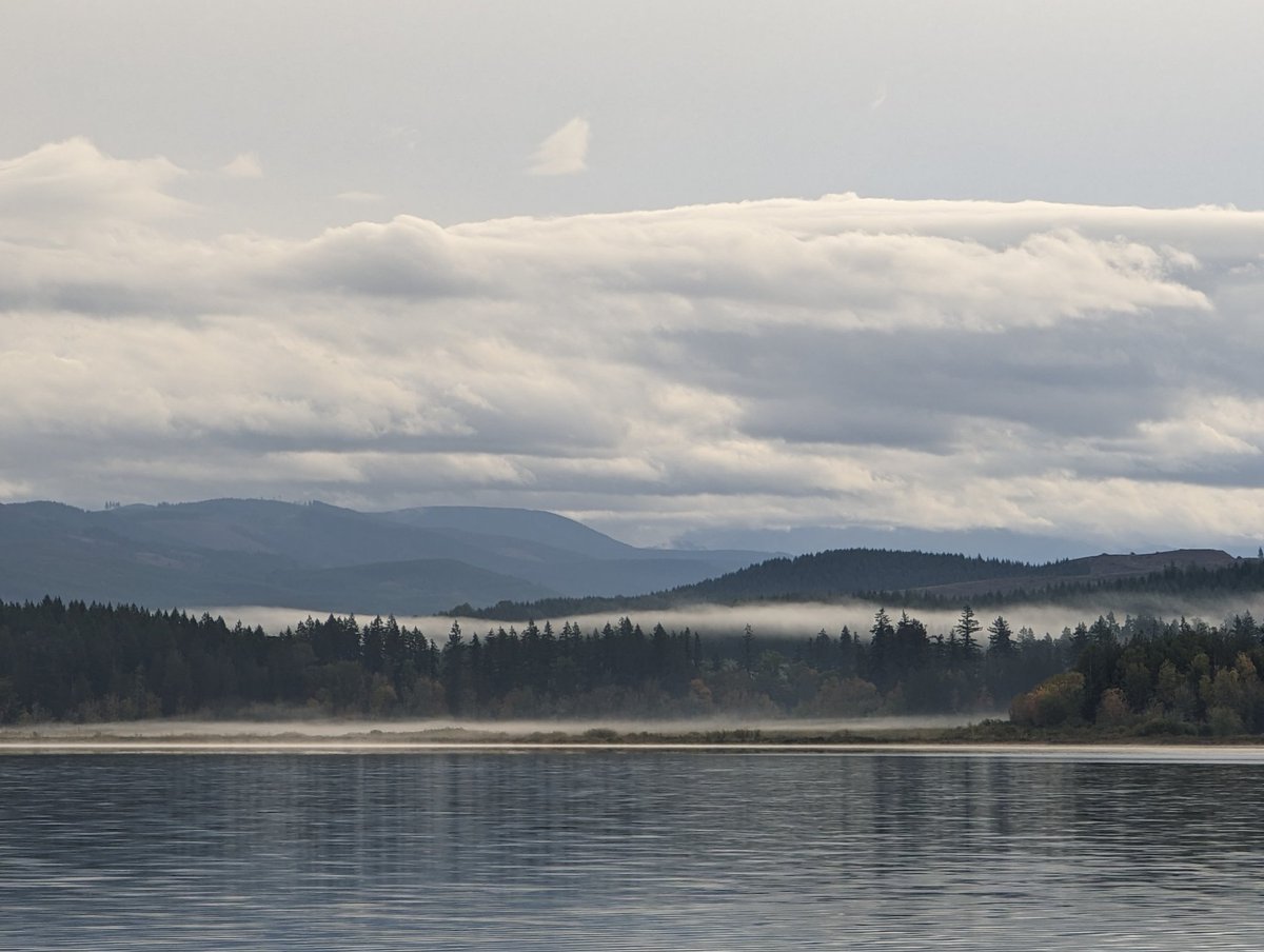 It's a beautiful morning here in Washington, but not the best day to watch an eclipse. But the advantage of a light cloud cover is that I could zoom in on the sun with my phone and capture a photo of it.