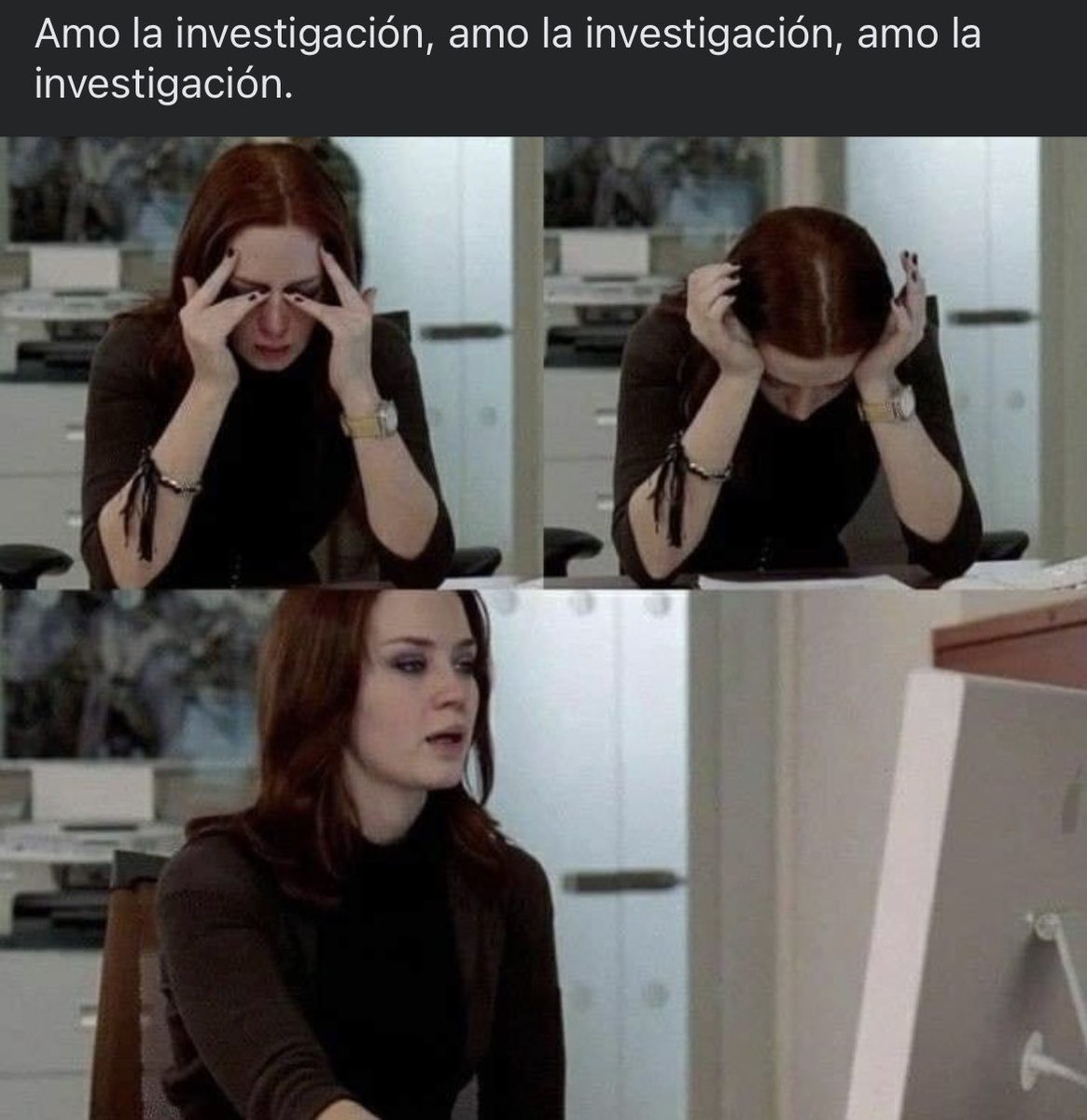 Paula Torres tweet media