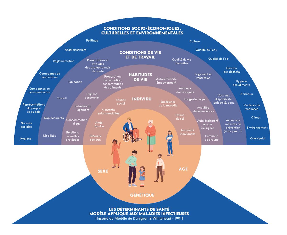Seconde infographie sur les Mesures universelles d’hygiène
Les déterminants de la santé en matière de mesures universelles d’hygiène et de prévention selon le HCSP