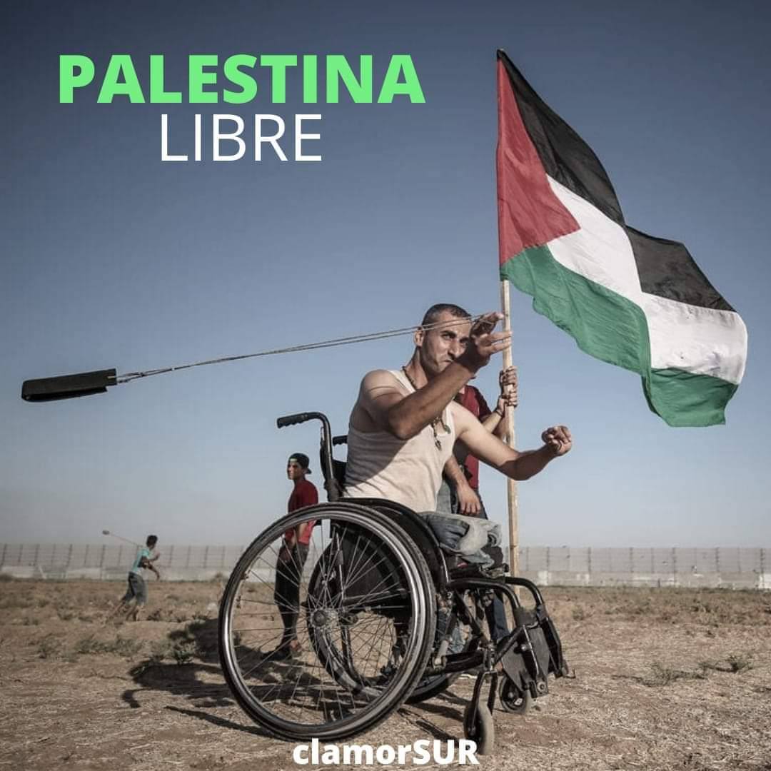 🐸🐸📝🇯🇴!Todos somos #PalestinaLivre nos duele verte sufrir #Nicaragua nos desgarran tus asesinados #14Octubre nos llena de indignación #FSLNVencimosVenceremos la destrucción y el robo de tus tierras.  No somos colonia de nadie!
<a href="/ale_rusconi/">alejandro rusconi</a> @HoyPalestina <a href="/Palestina_cat/">Comunitat Palestina Catalunya</a> <a href="/Eulila5/">Eu_lila</a>