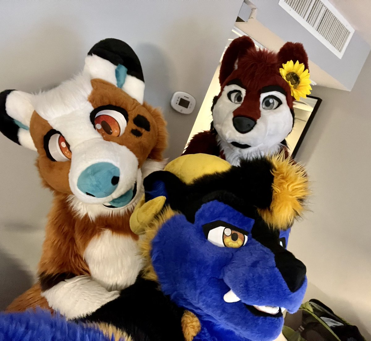 Ready for the photo and parade!