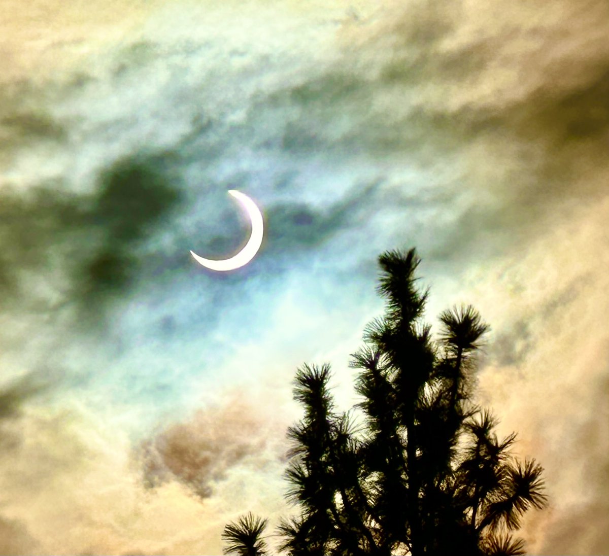 ChefjoaquinSD's tweet photo. @MadisonMacayTV got lucky with the clouds this morning.  #eclipse #nevada https://t.co/tcJRzw26xt