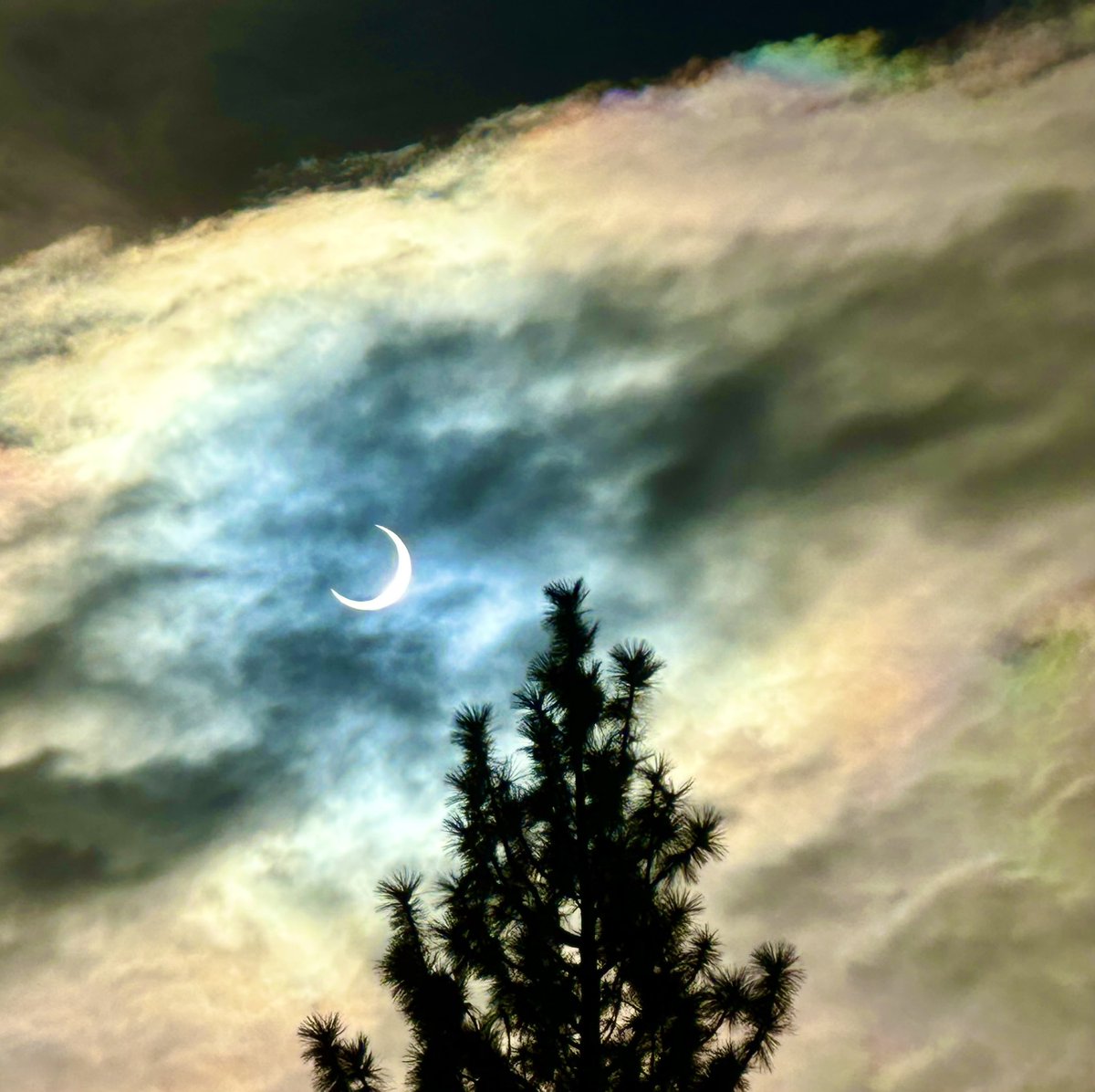 ChefjoaquinSD's tweet photo. @MadisonMacayTV got lucky with the clouds this morning.  #eclipse #nevada https://t.co/tcJRzw26xt