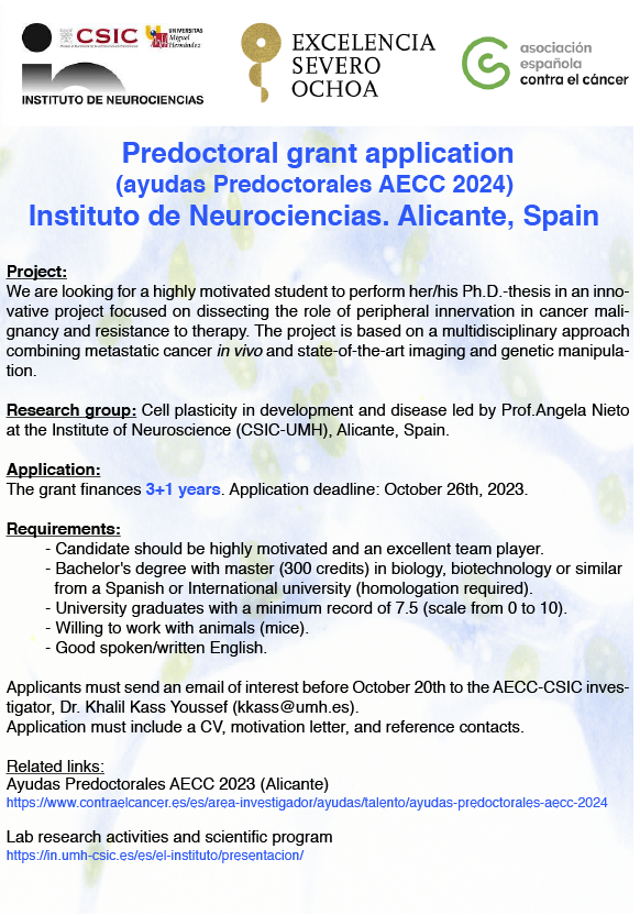 Do you have a Master 🎓 and interested in cancer research 🧬👩‍🔬🧑‍🔬? 
Consider joining us with a predoctoral AECC grant for 2024 <a href="/NeuroAlc/">Instituto de Neurociencias UMH-CSIC</a> <a href="/UniversidadMH/">UMH</a>. 
More Info 👇👇👇
in.umh-csic.es/es/el-institut…
and
contraelcancer.es/es/area-invest…