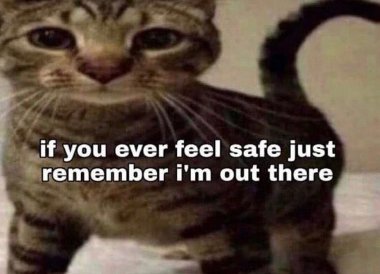 Sssniperwolf really said: