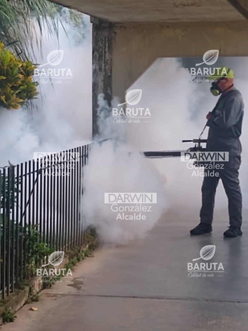 AlcaldiaBaruta's tweet photo. ¡Vecinos!🍃
La cuadrilla de #Fumigación de la #AlcaldíaDeBaruta se encuentra trabajando en su programa de prevención 🦟
📍 Urb. #LasDanielas https://t.co/DslUx77Rbz