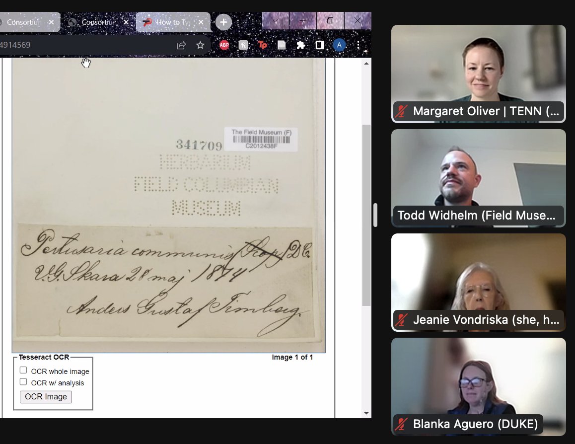 UTKHerbarium's tweet photo. In the world of transcription, you're in for a treat with the discovery of splendid specimens and the elegant handwriting from the past. 💯😍

#Herbarium #Transcription #Botany #Bryophytes #Plant_art #FlattenedFlora #Collections #ScienceResearch #Ecology #NaturalBeauty https://t.co/VoF4PjAAds