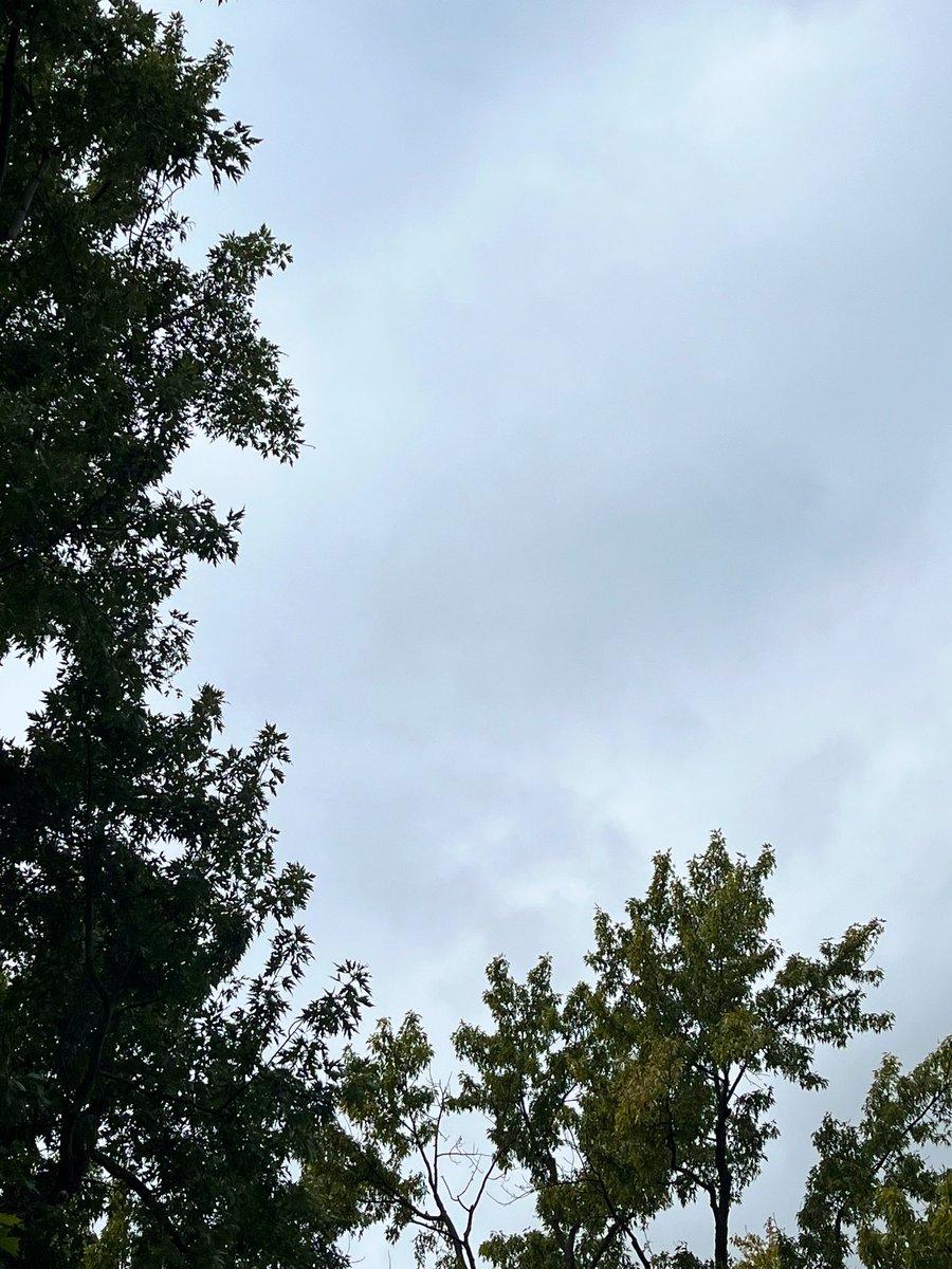 DannyMessinger's tweet image. Breaking: cloudy skies provide stunning 100% #eclipse of the partial #solareclipse in Twin Cities.