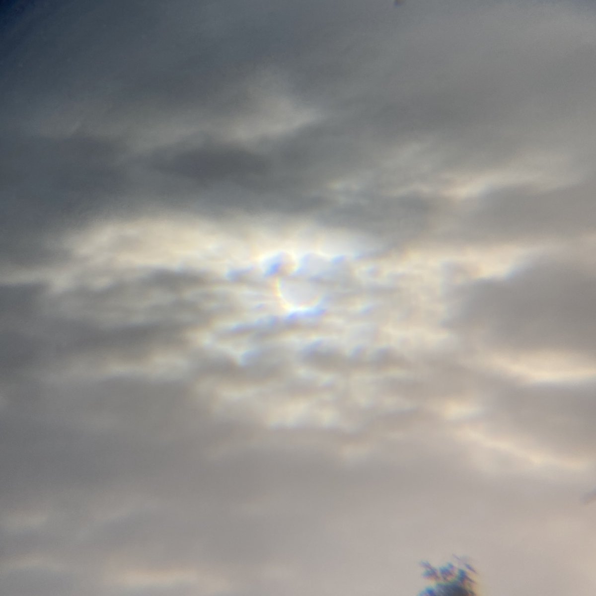BaileyProvance's tweet photo. Watched the Annular Solar Eclipse in #EugeneOR 
#AnnularEclipse #AnnularSolarEclipse https://t.co/bmOrTijhQb