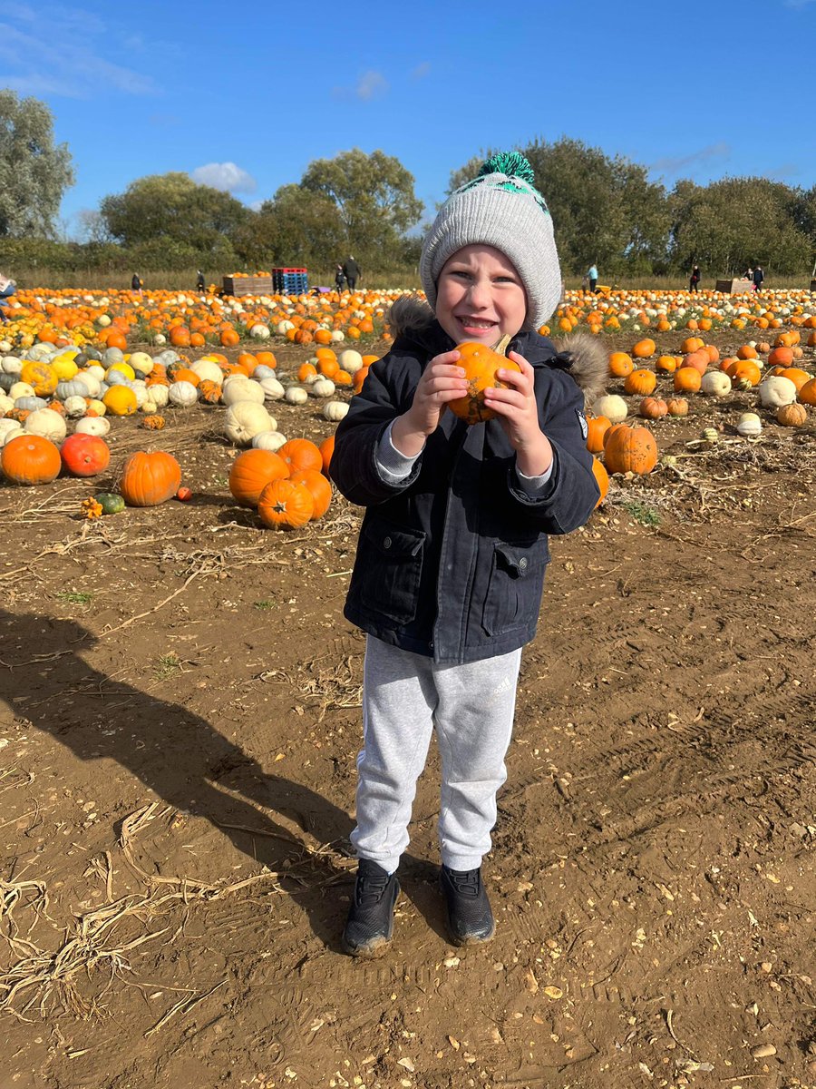 Pumpkins ready ❗️🎃 ✅