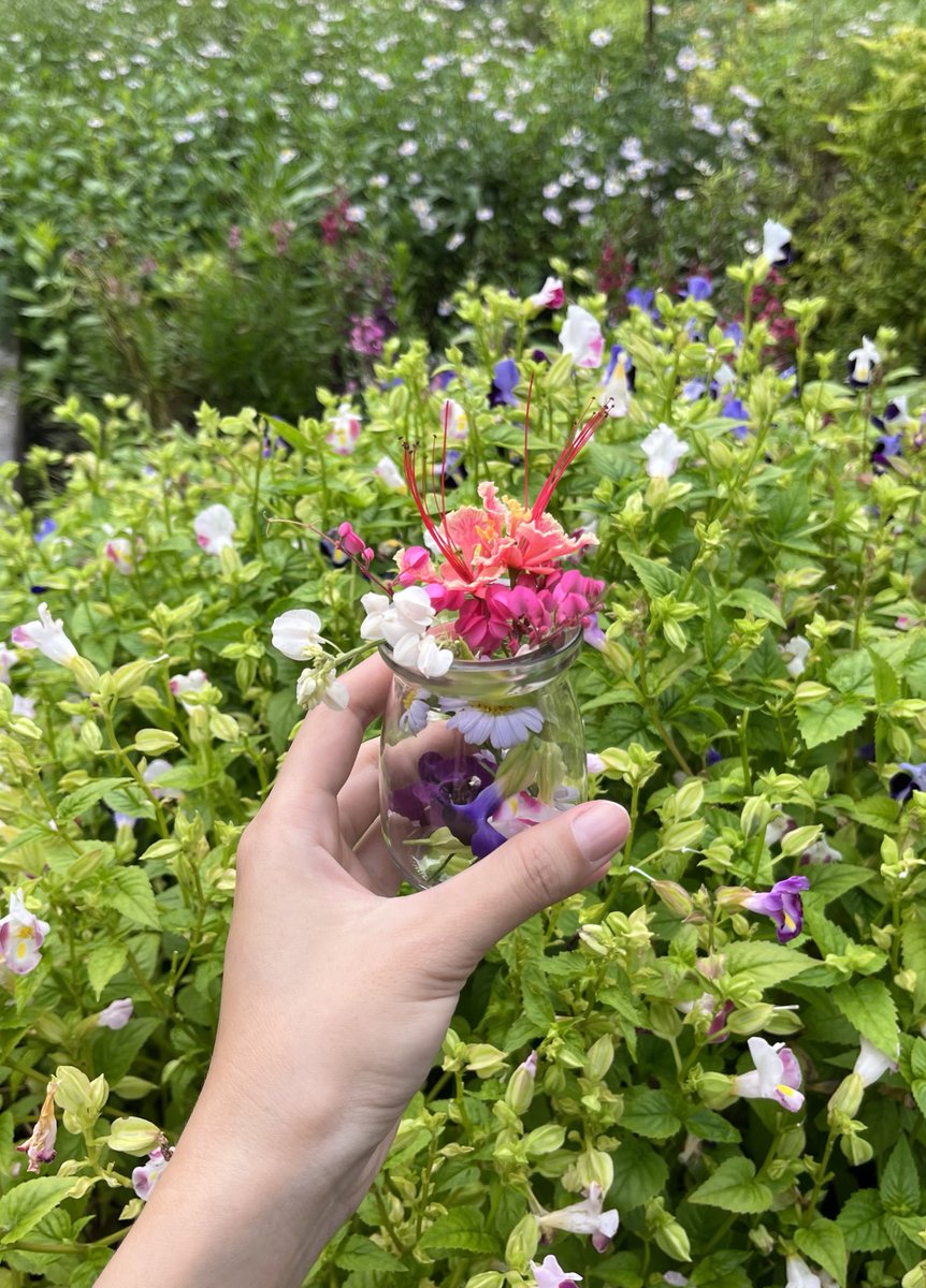 yoniam_'s tweet photo. หลายวันก่อน ไปเวิร์กช็อปเด็ดดอกไม้กินได้มาแปะในเส้นพาสต้าแบบทำเอง มันน่ารักไป๊ https://t.co/BejYAuNtUj