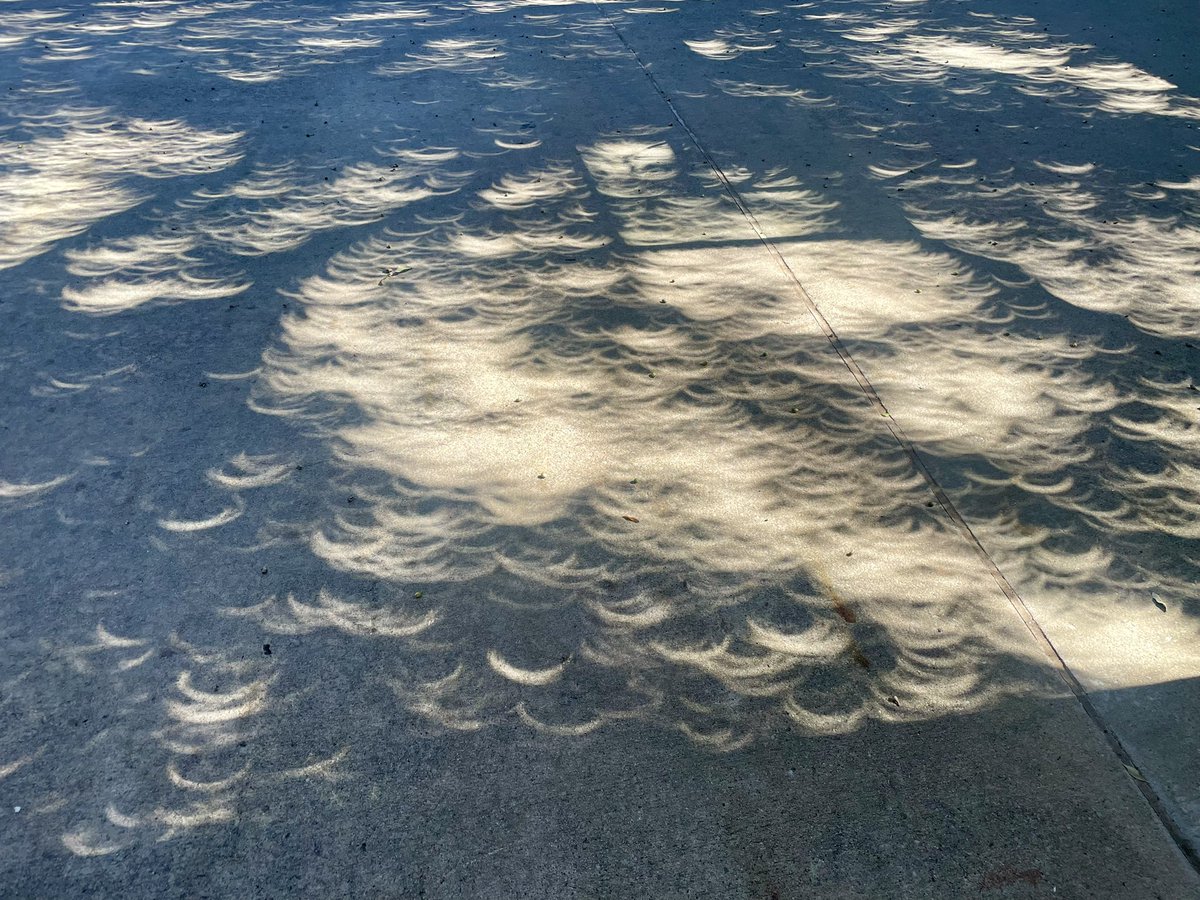 wfaaweather's tweet photo. So cool to see the shadows from the eclipse! https://t.co/YgaekVbfiy