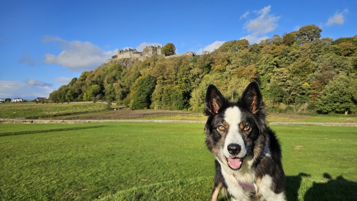 Me mum not the castle thingy
#stirlingcastle #dogsofx #Scotland