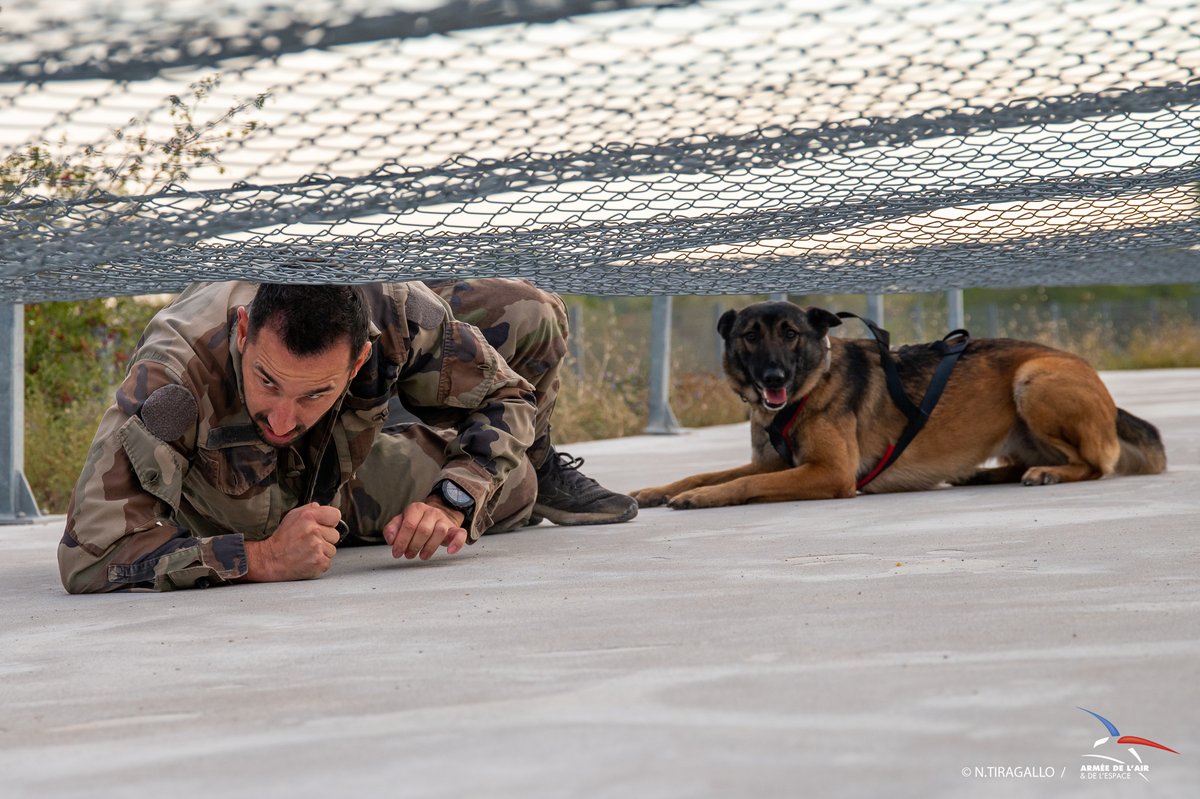 Armee_de_lair's tweet photo. Ce mois-ci, à l’occasion du biathlon canin 2023, une rencontre inter-unités du #CPOCAA a été organisée par la division des formations cynotechniques (DFC). Trois sections cynotechniques se sont affrontées sur un parcours qui mêle dressage, endurance, force et « esprit cyno ». https://t.co/78kHRSmbnA