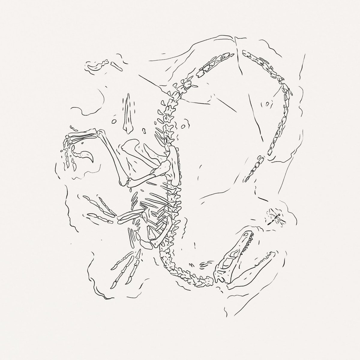 VectorThatFox tweet picture